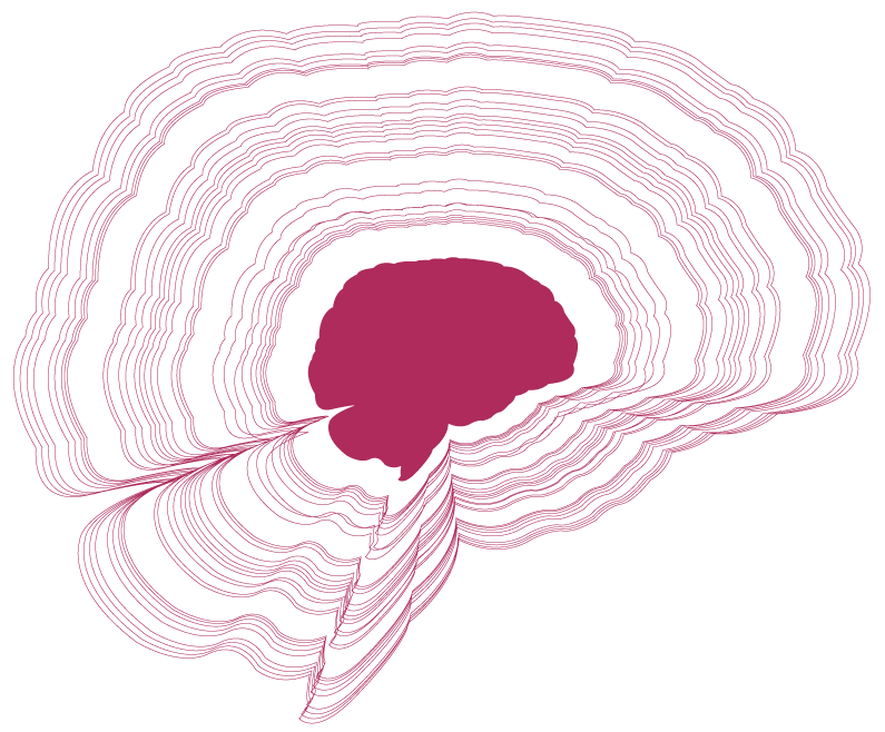 motif cerveau