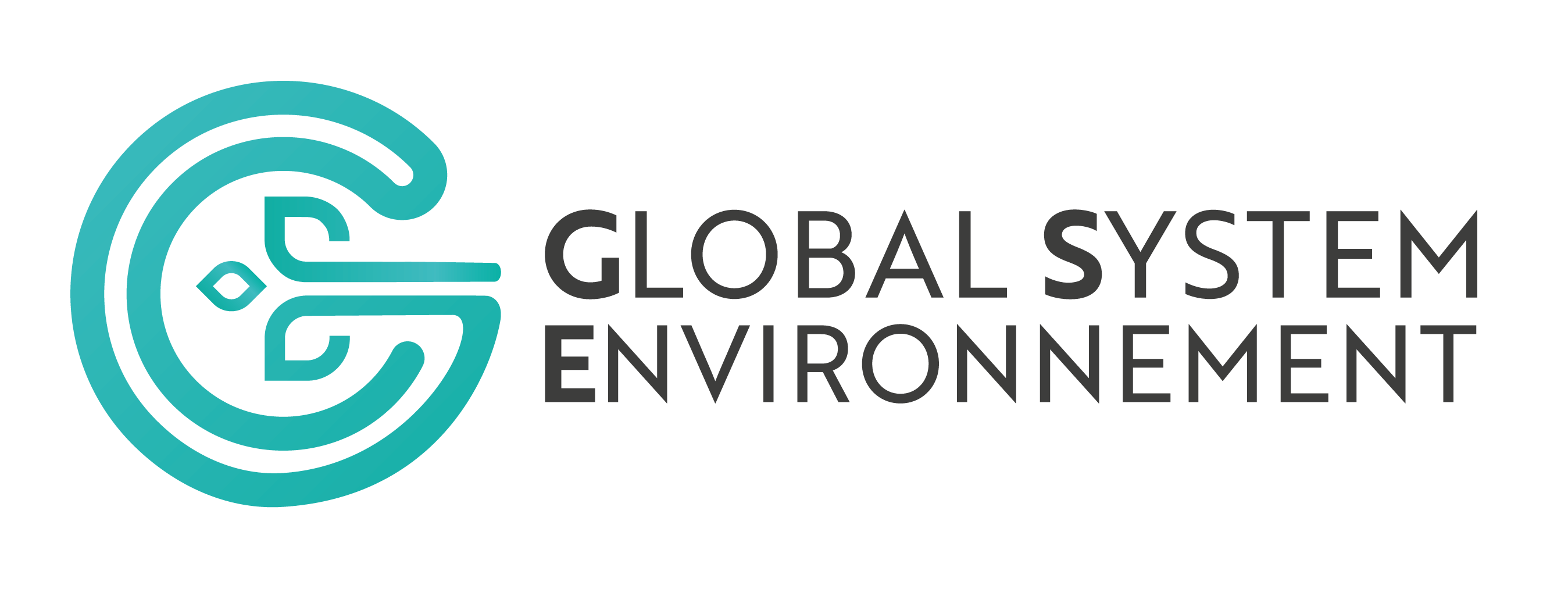 logo gse